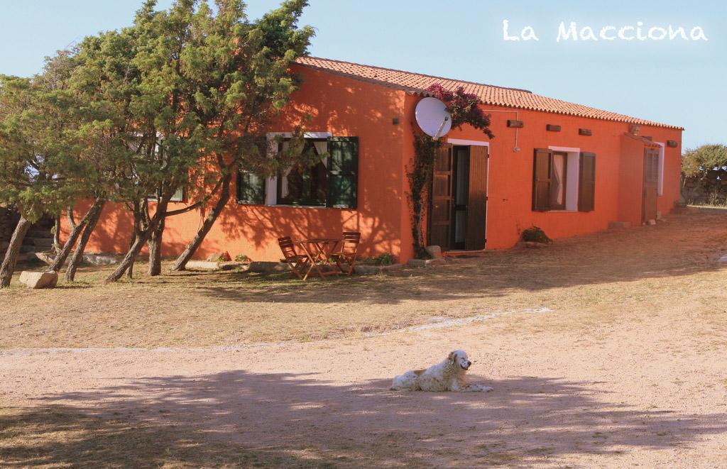 La Macciona Lägenhet Aglientu Exteriör bild